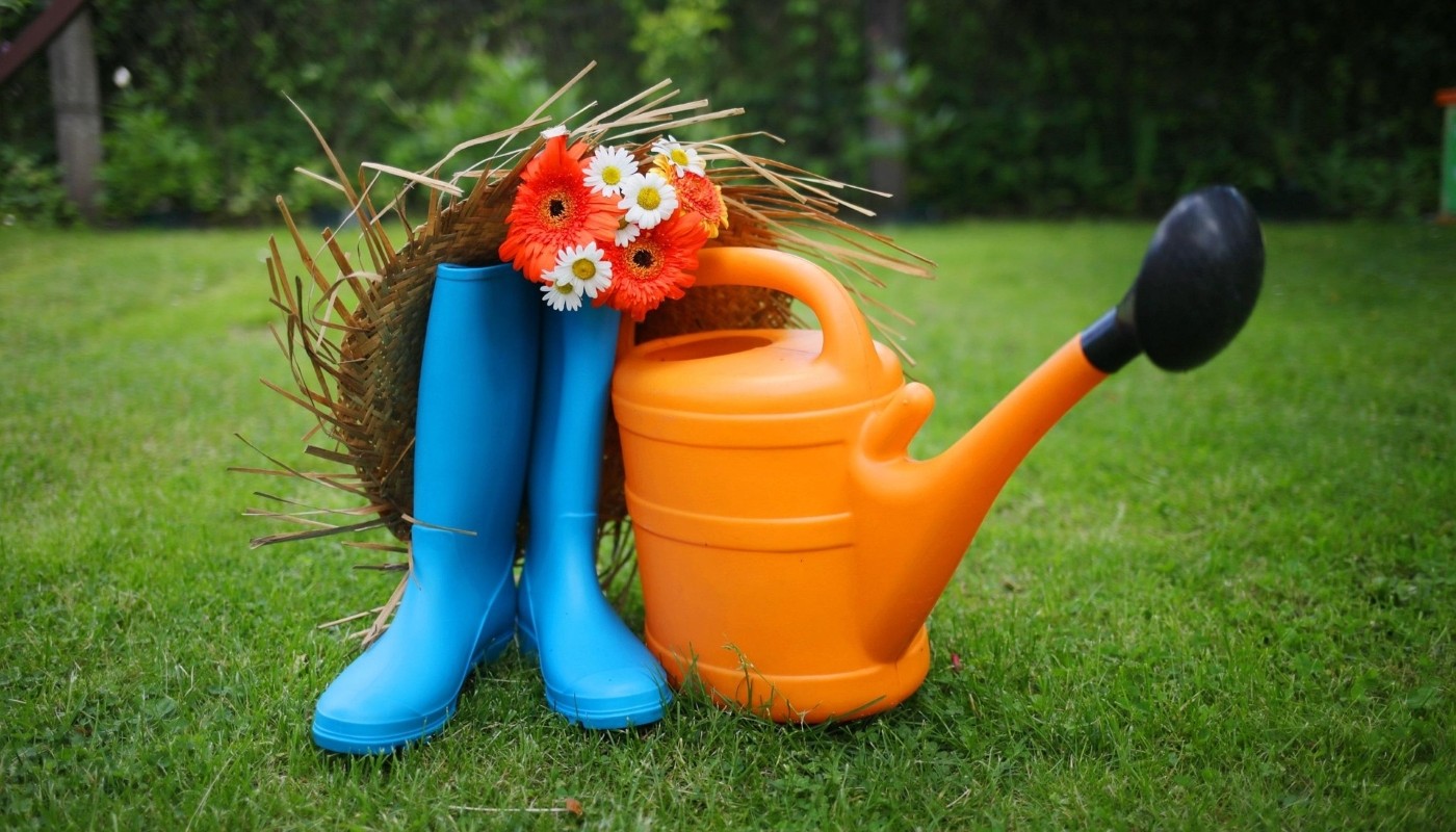 Огород без фитофторы и других грибковых инфекций: универсальное средство для защиты растений