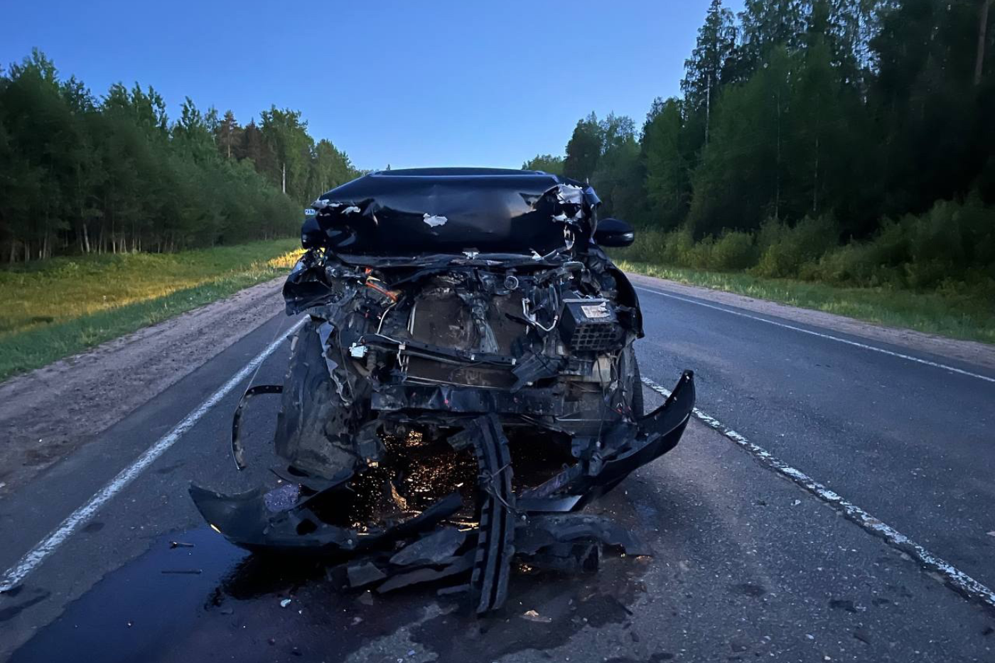 В Нюксенском округе грузовик насмерть сбил лосенка и съехал в кювет