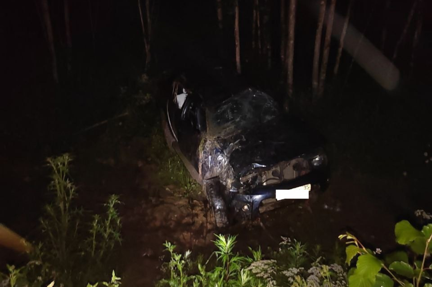 Девушка и ребенок пострадали в ДТП в Череповецком районе