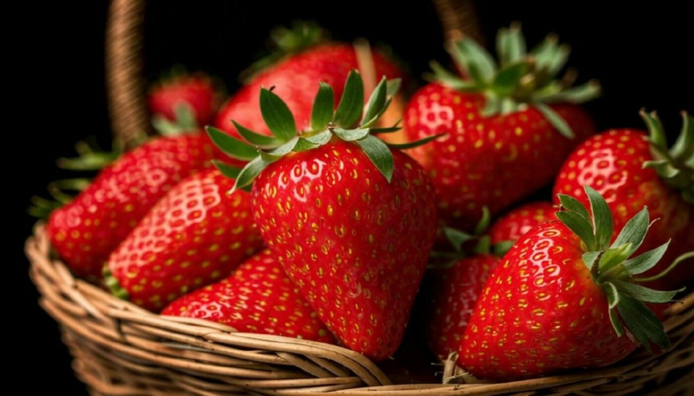 Клубники будет «кот наплакал»! Эксперт назвал 3 действия, которые запрещены после цветения ягодника