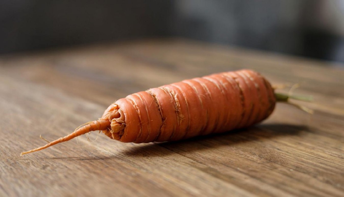 Морковка вырастет корявой! Эти 6 растений не любят дрожжи — останетесь без урожая из-за такой подкормки