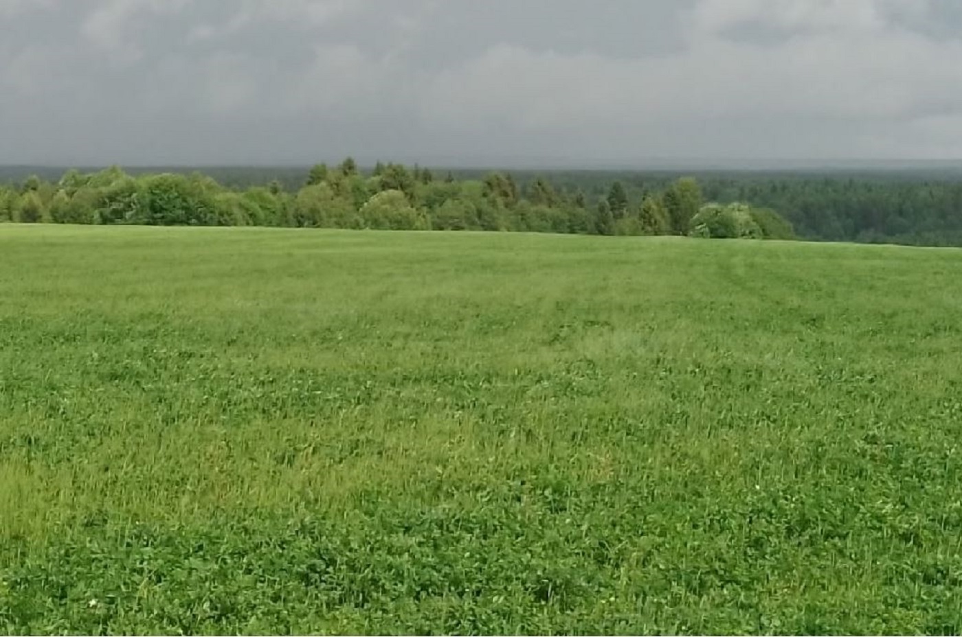 Вологодскую область зальют дожди