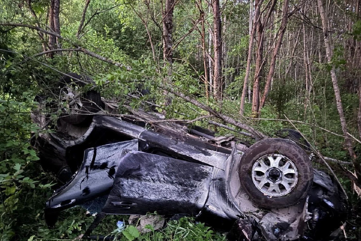 Пьяный водитель вылетел из автомобиля в ДТП под Сямжей