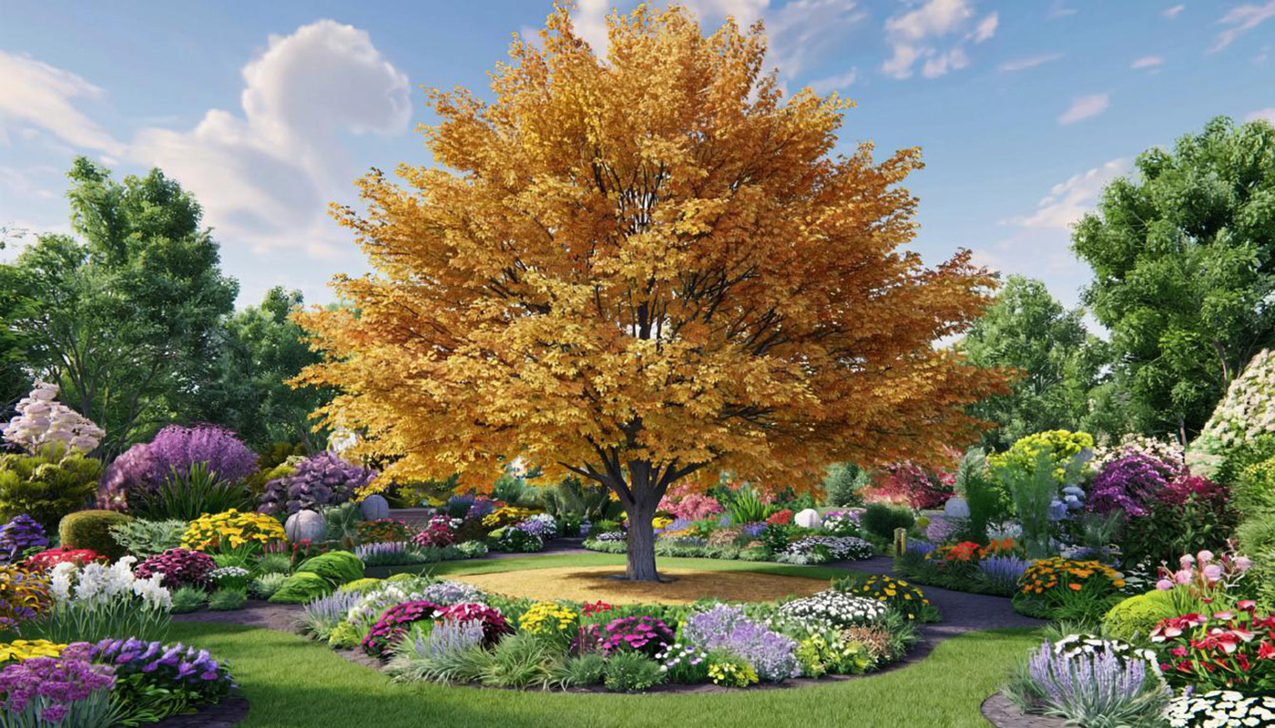 Проверьте свой огород: этот заморский сорняк способен затормозить рост культурных растений