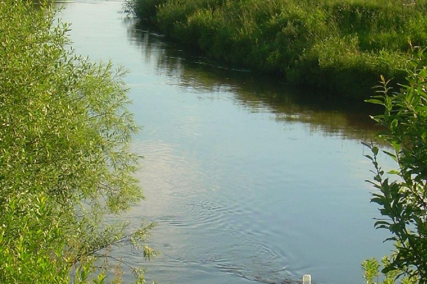 Антициклон будет определять погоду на предстоящей неделе