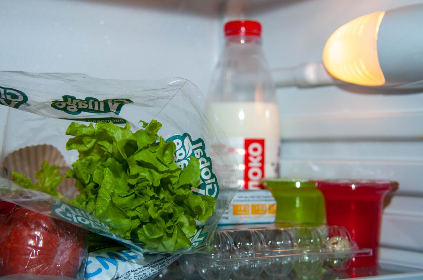 Опасные ошибки хранения: какие продукты нельзя держать вне холодильника