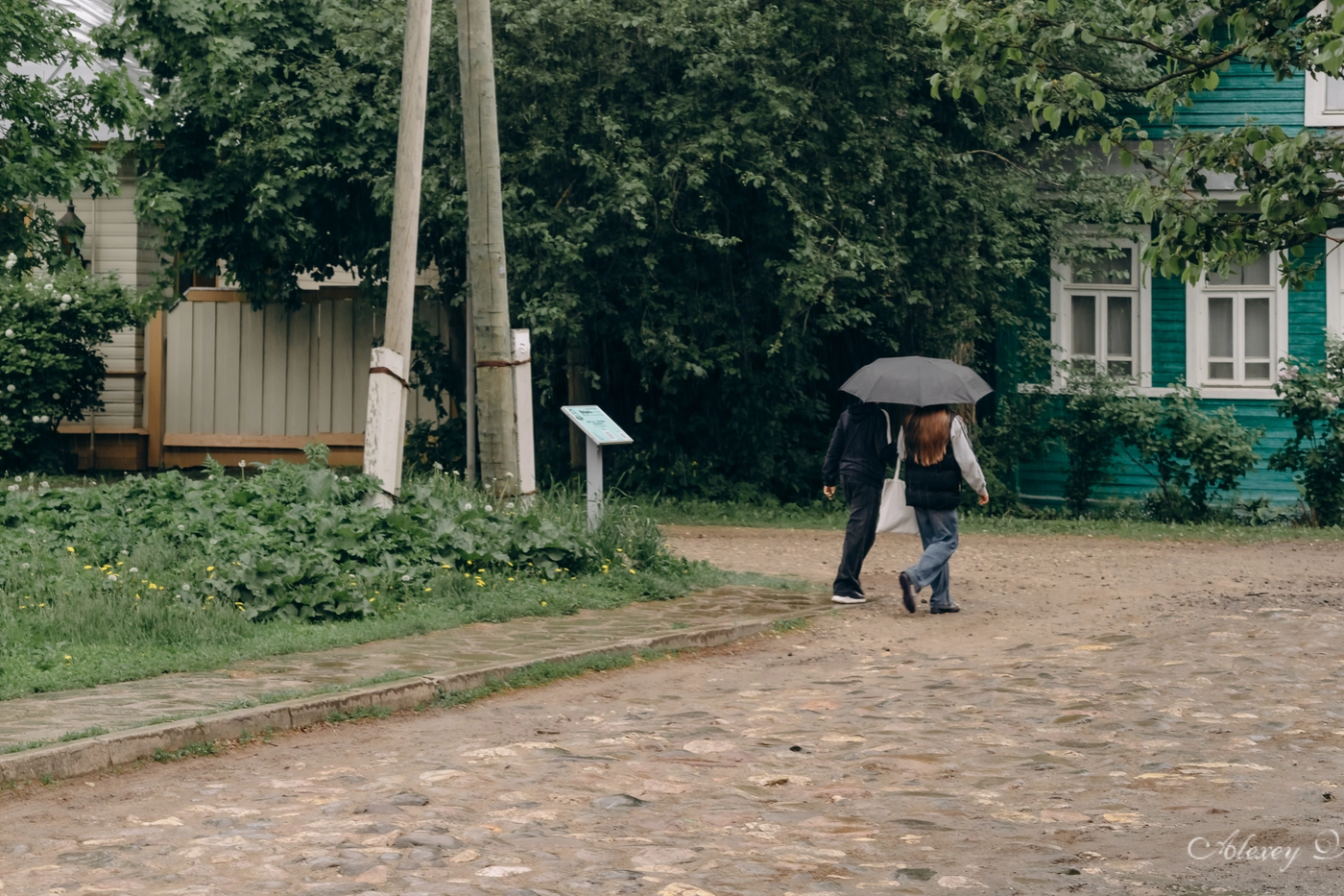 Похолодание и дожди: что ждет Вологодчину в ближайшие дни