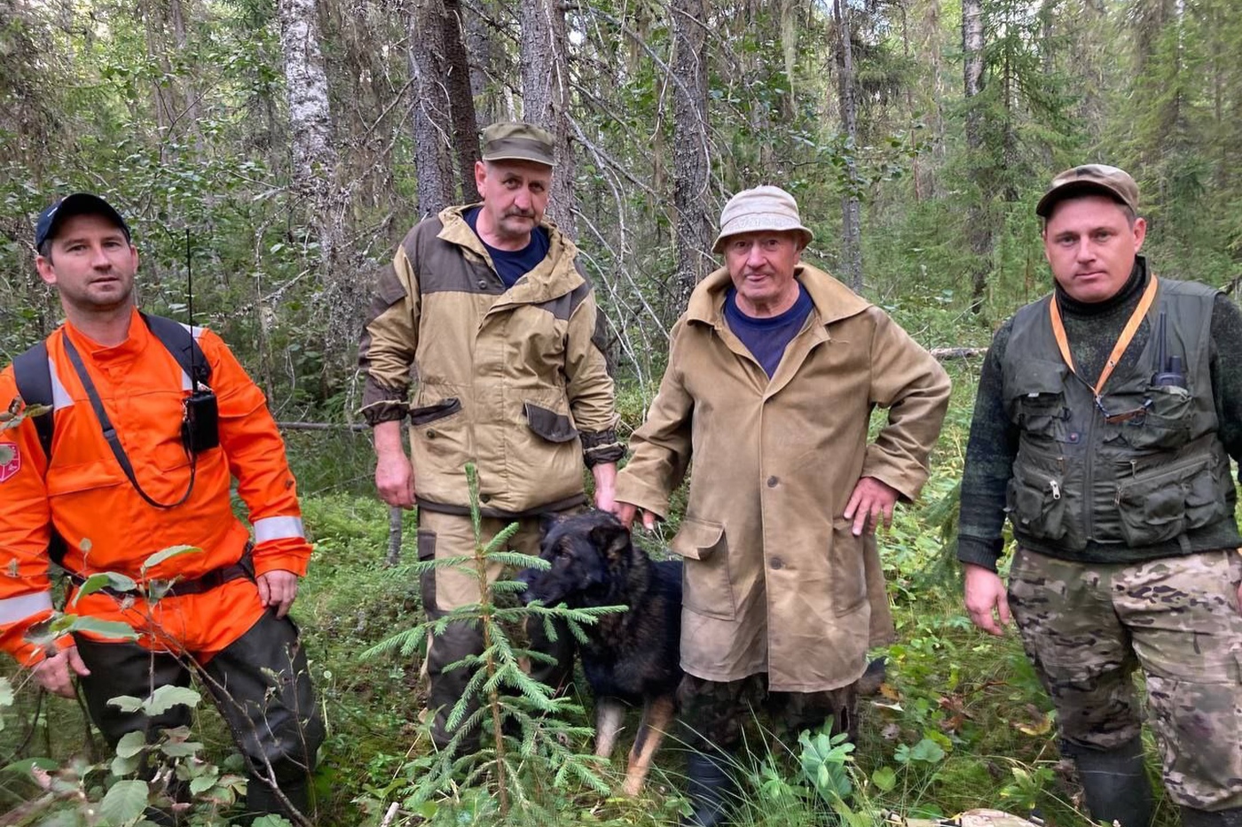 Кинолог с собакой нашел заблудившегося в лесу пенсионера в Вожегодском округе