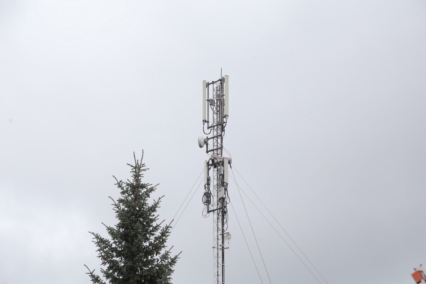 Скорость мобильного интернета ограничат на Вологодчине