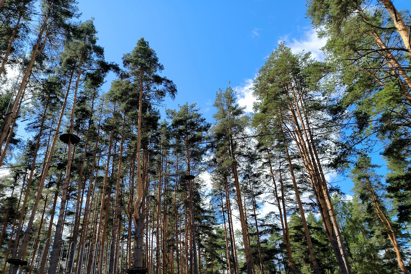 Двух пенсионеров не могут найти вологодские спасатели