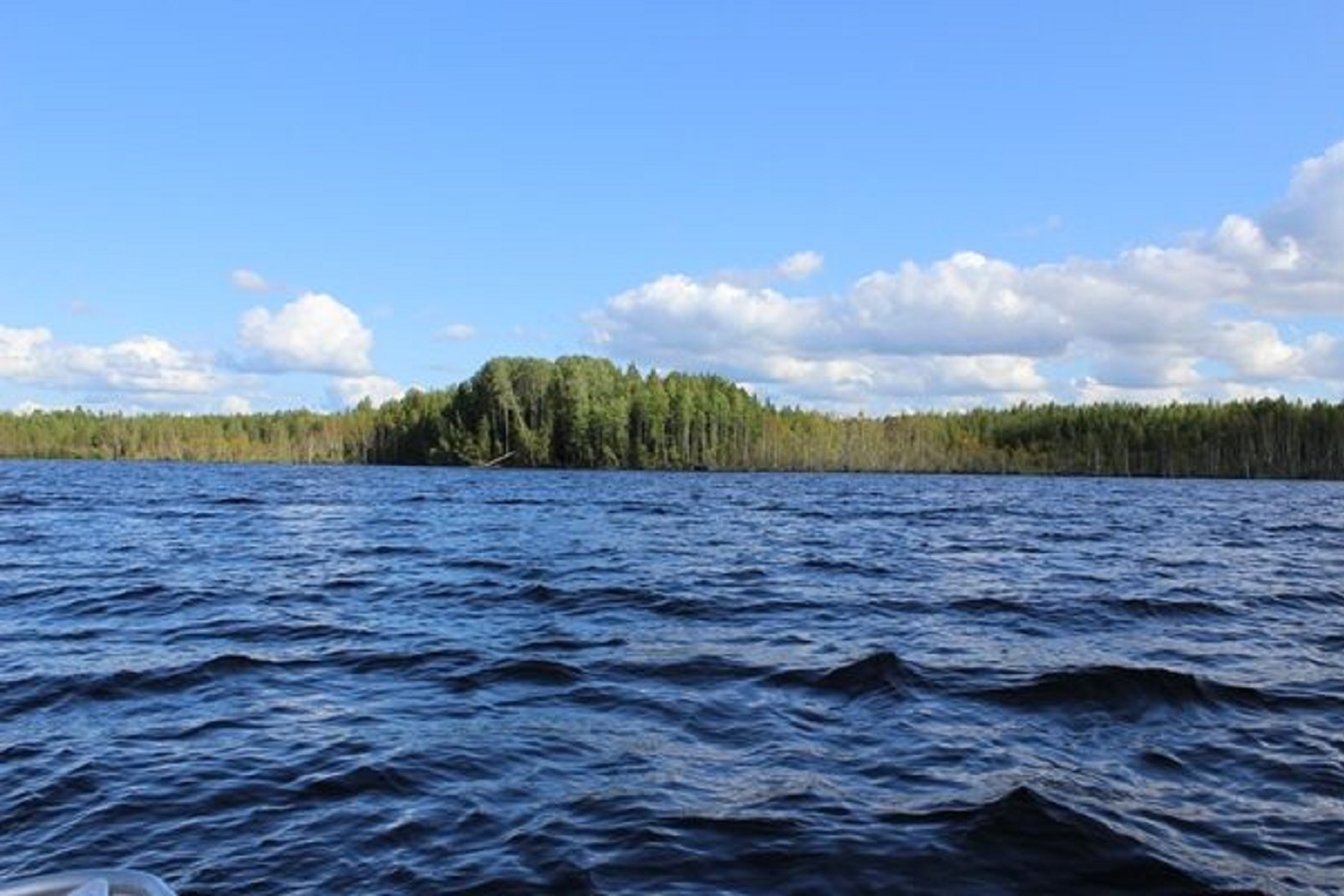 Молодой мужчина утонул в Вытегорском районе