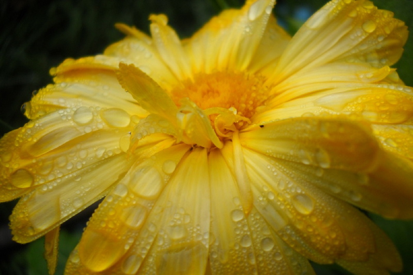 Синоптики рассказали о погоде в последнюю неделю календарного лета