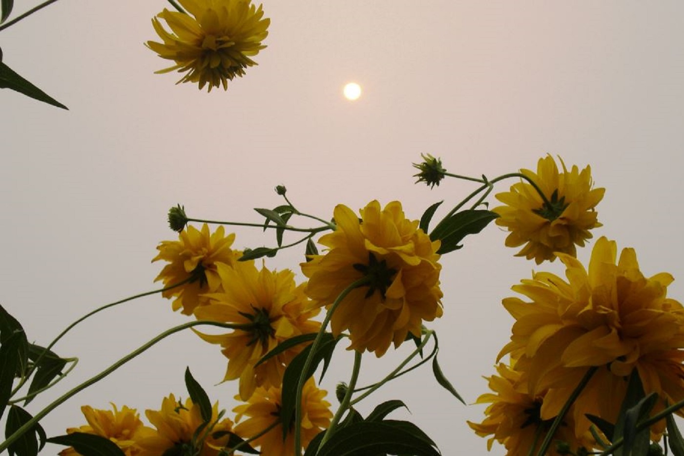 Вологодские синоптики заявили о завершении лета