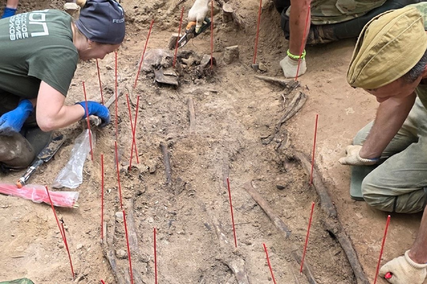 Останки 11 солдат обнаружены под Вытегрой