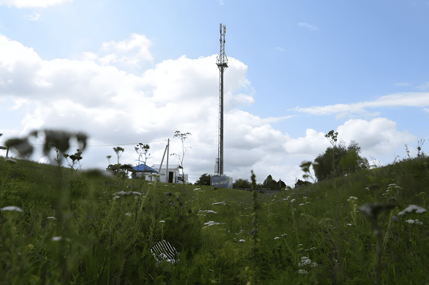 T2 выяснила, кто активнее всего пользуется интернетом в деревнях