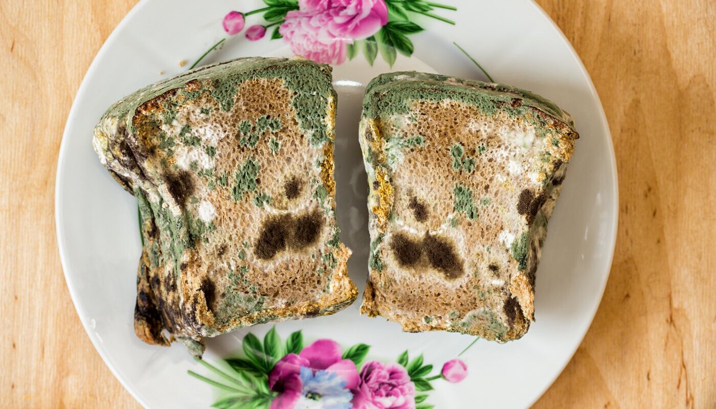 Рассадники плесени: какие продукты могут испортить ваши запасы