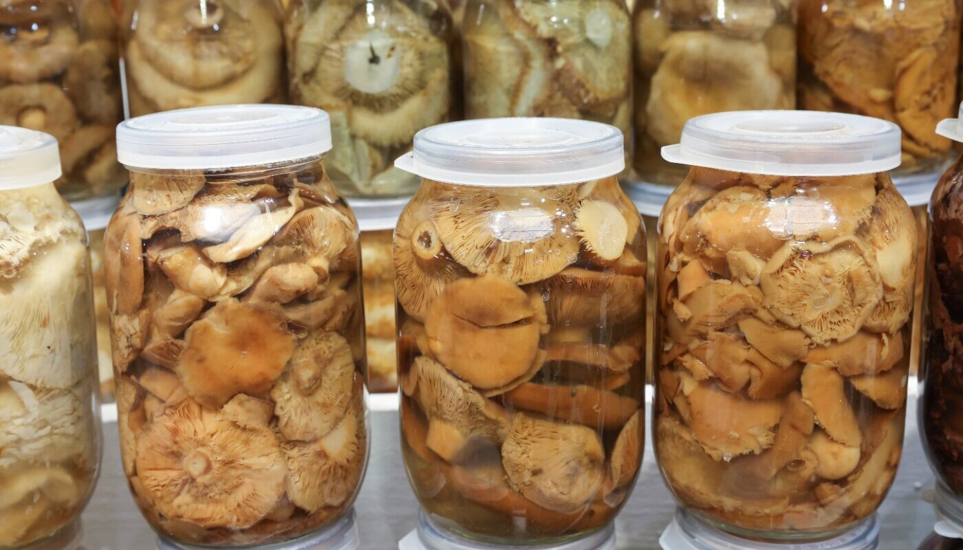 Тихий удар по печени: врач объяснила, почему грибы и алкоголь — гремучая смесь