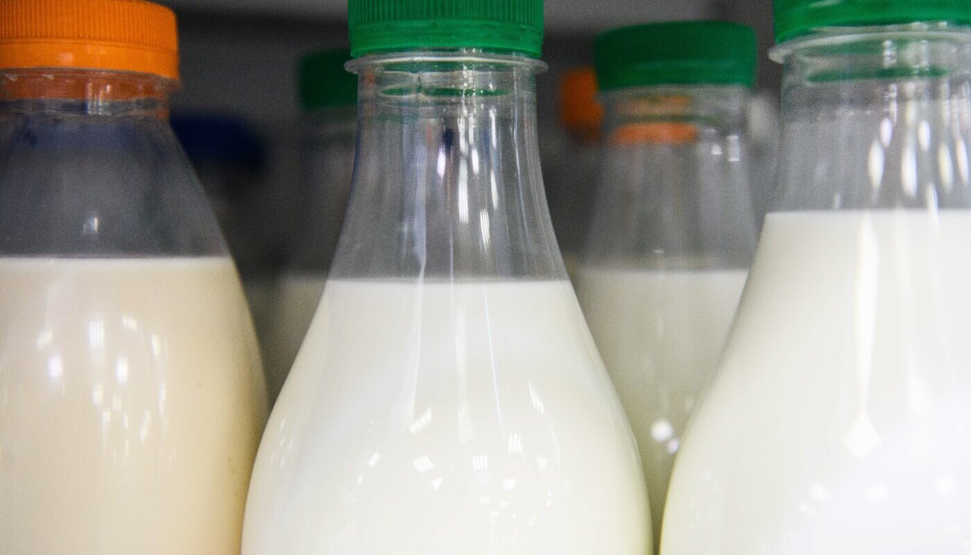 Почему не стоит доверять своему обонянию при употреблении молочных продуктов: не ставьте себя под угрозу!