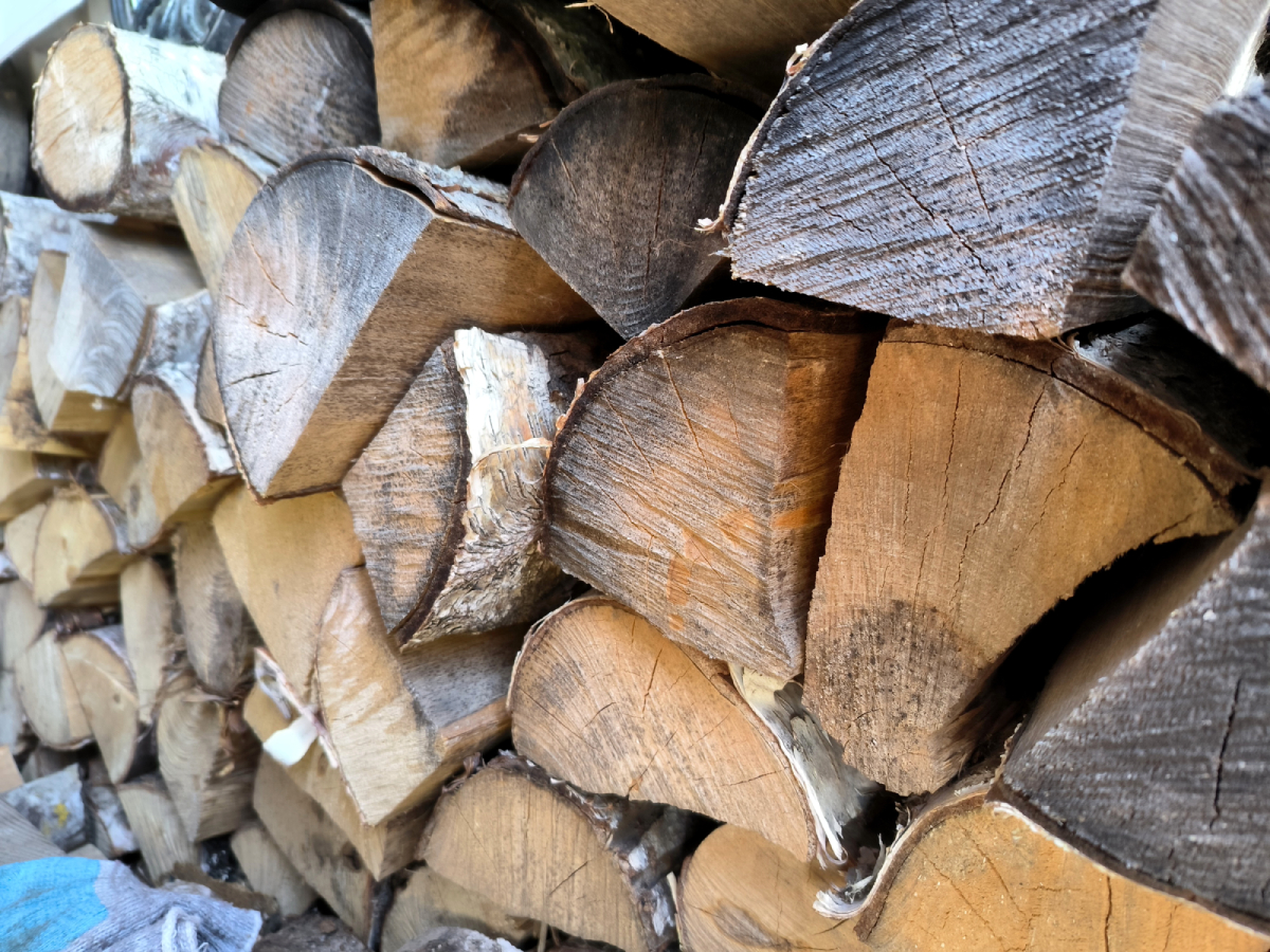 Сельская перезагрузка: зачем молодежь едет отдыхать в деревню