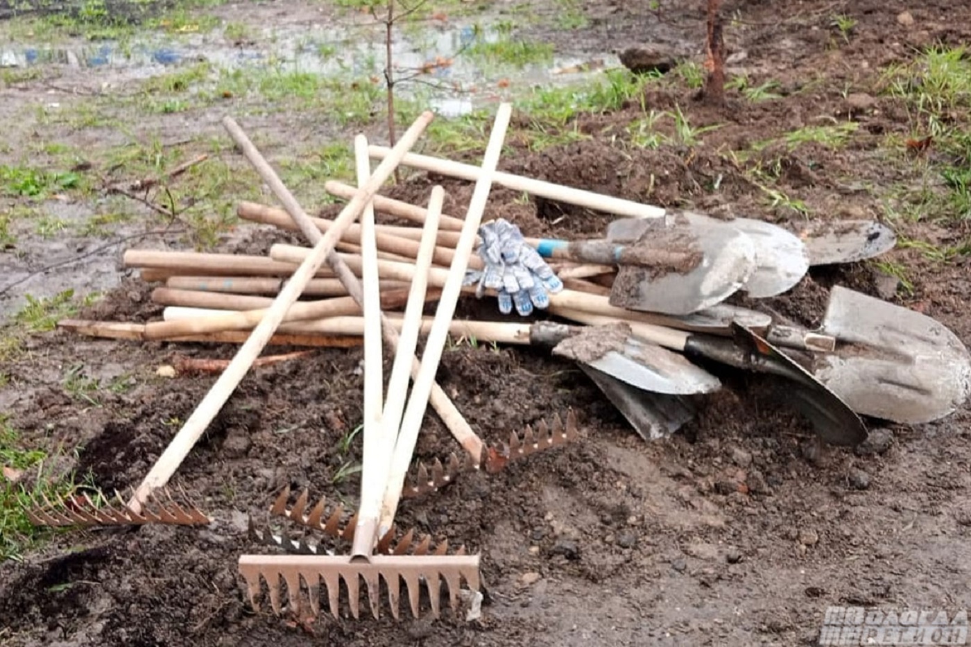 Озвучена программа экологического субботника «Вода России»