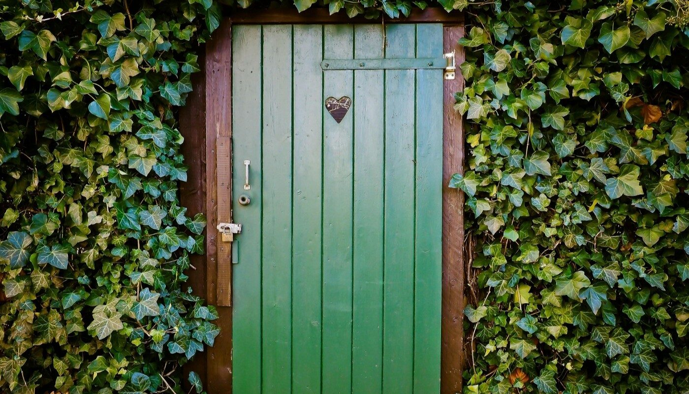 Выгребную яму больше не откачиваю: простой способ очистить дачный туалет