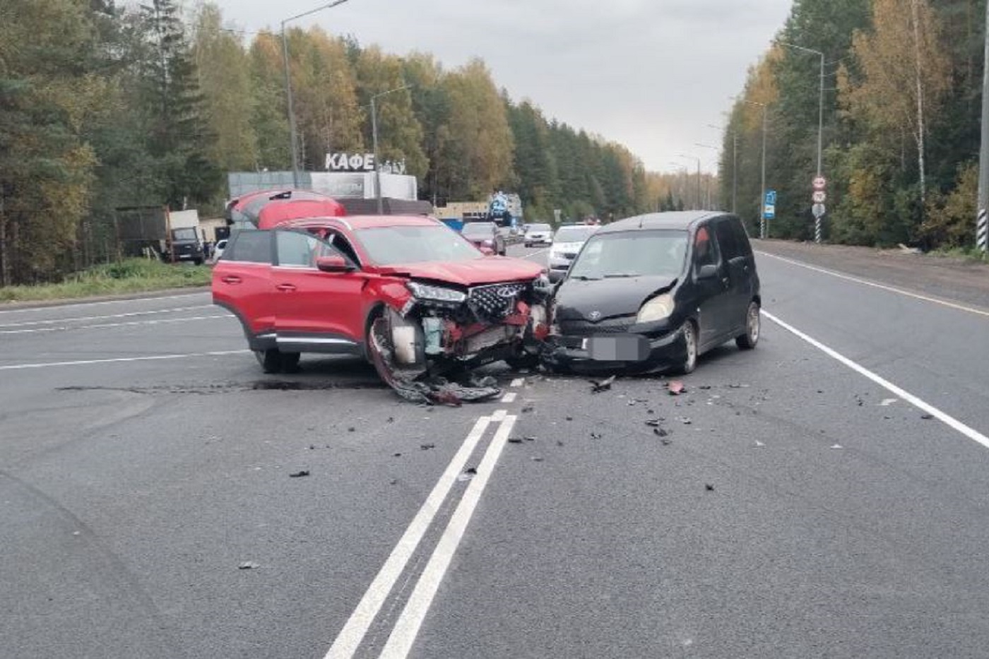 Двухлетний ребенок пострадал в ДТП в Череповецком районе
