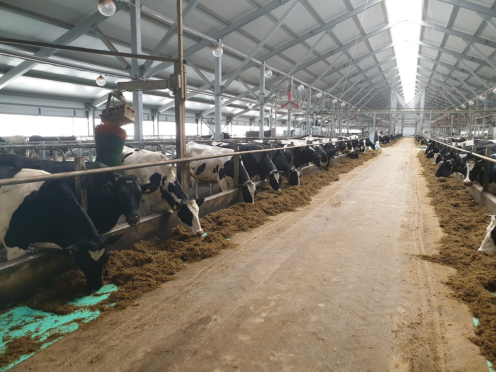 АО «Племзавод Родина» выплатит вологжанину более 1 млн рублей