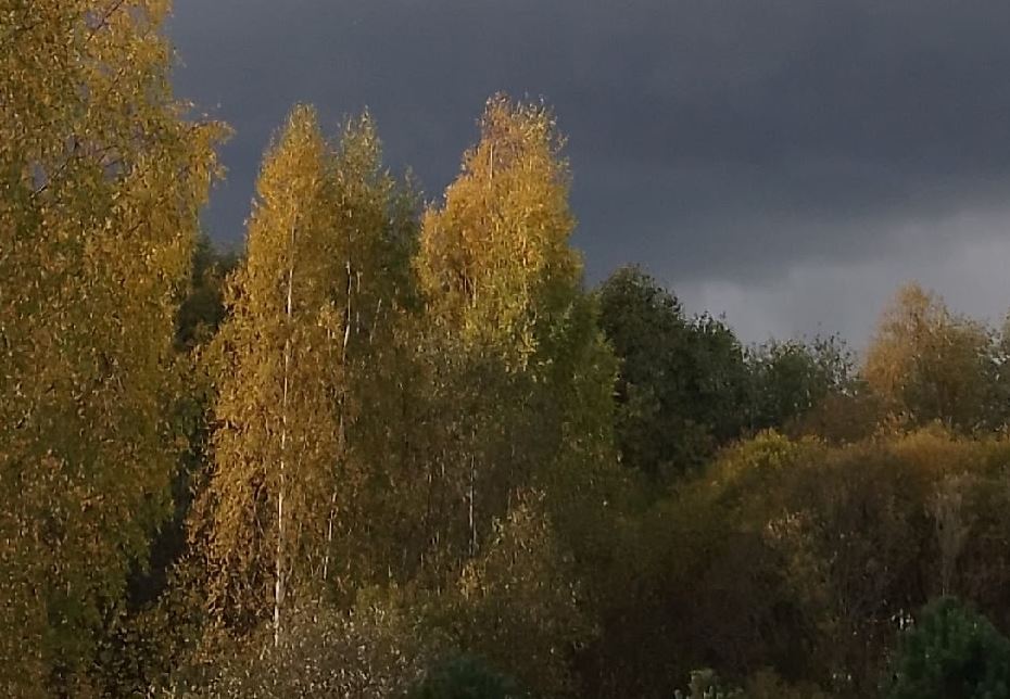 Дальнейшее похолодание обещают вологодские синоптики