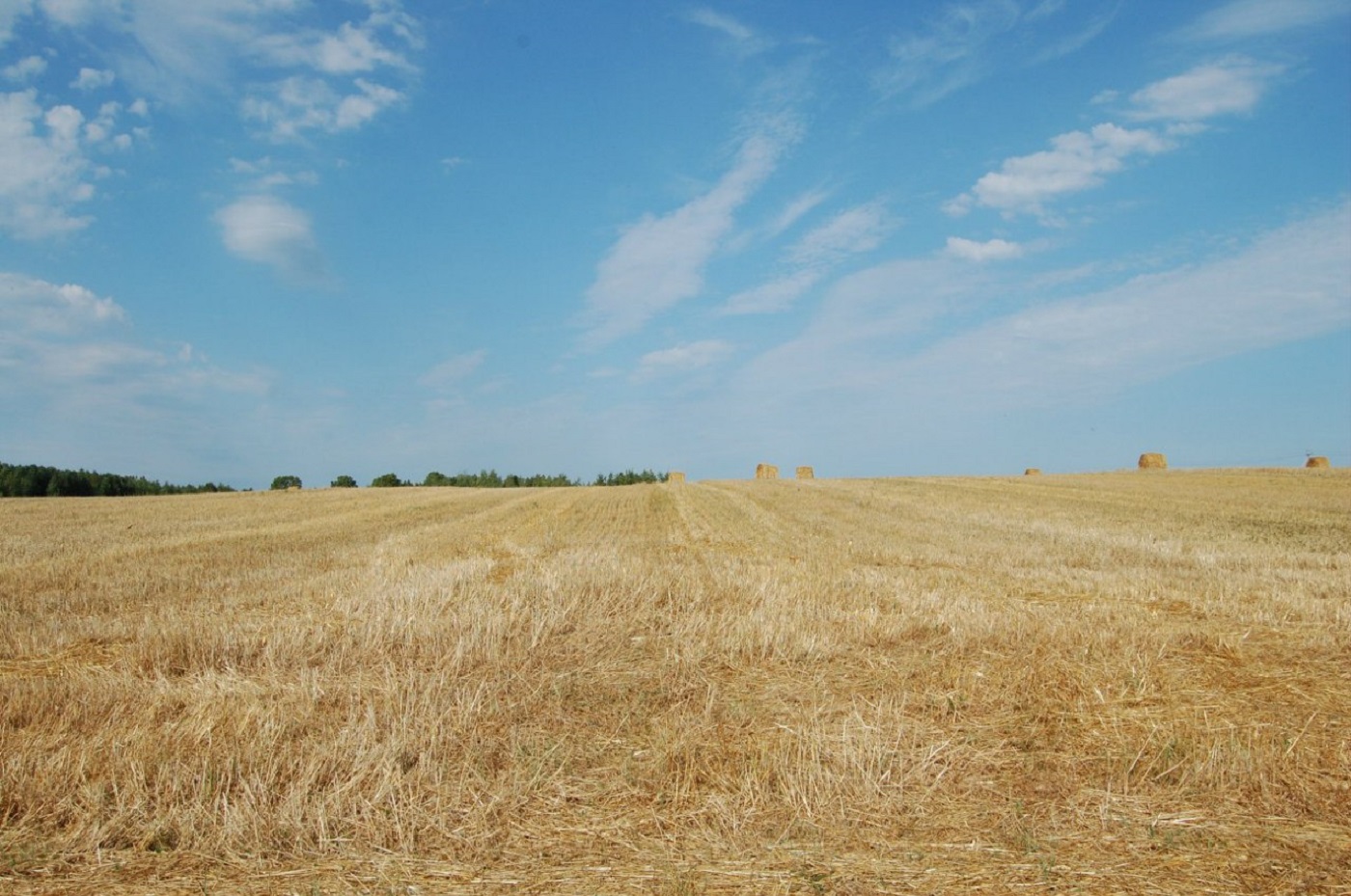 Вологодские синоптики рассказали, когда придет «бабье лето»