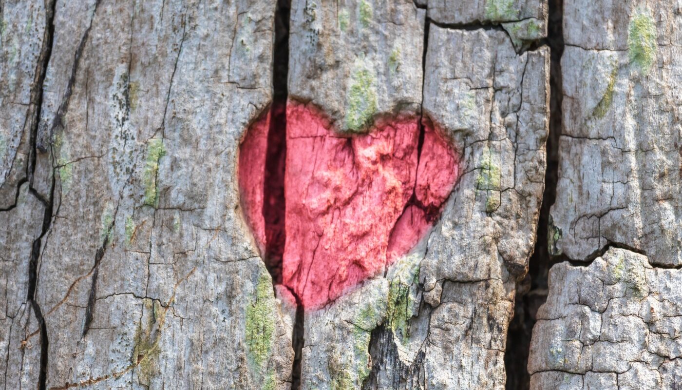 Инсульт в ближайшие годы: доктор Мясников назвал два фактора, быстро разрушающие сосуды