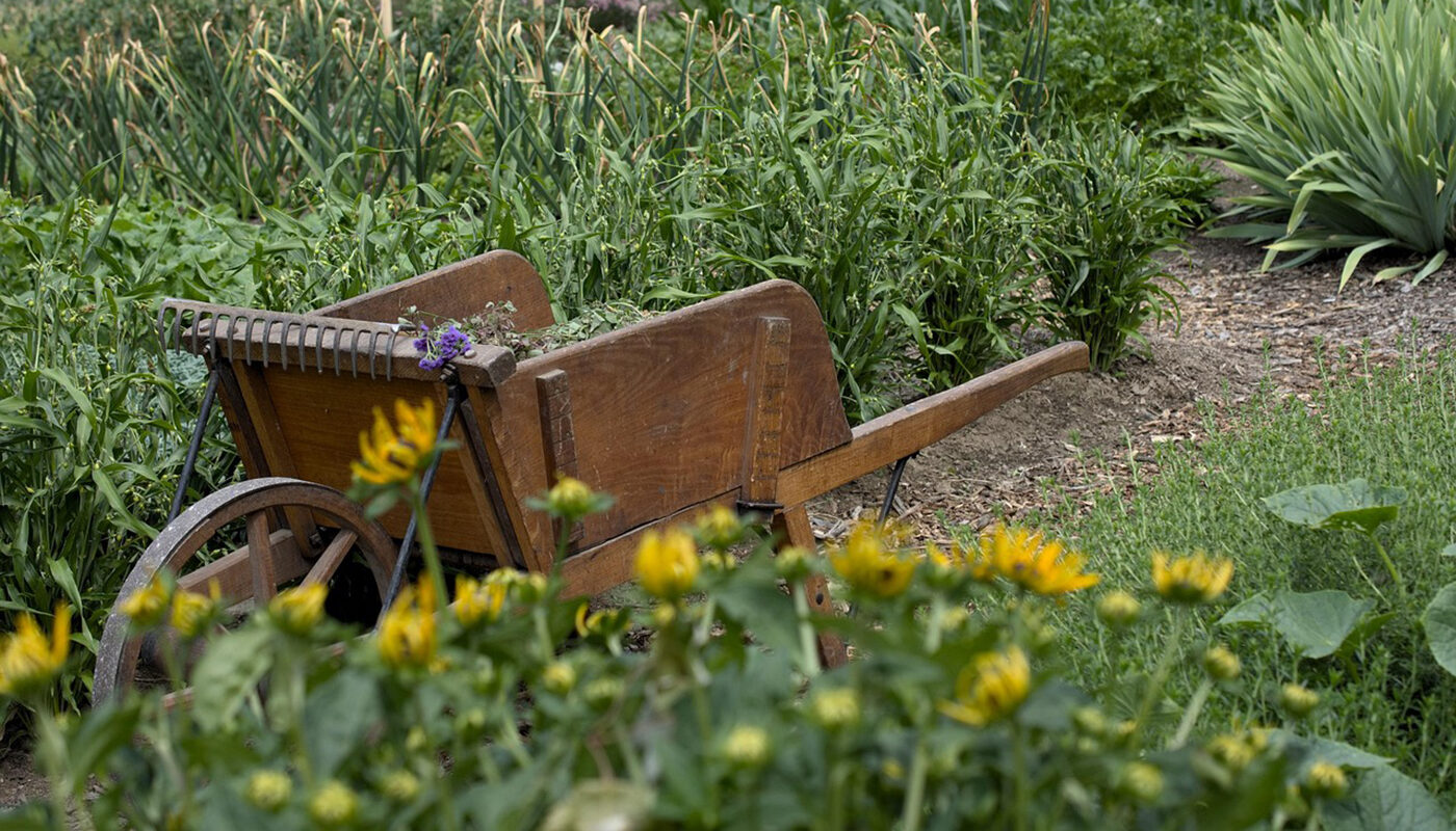 Грунт станет лучше чернозема: доступная смесь для посыпки грядок осенью