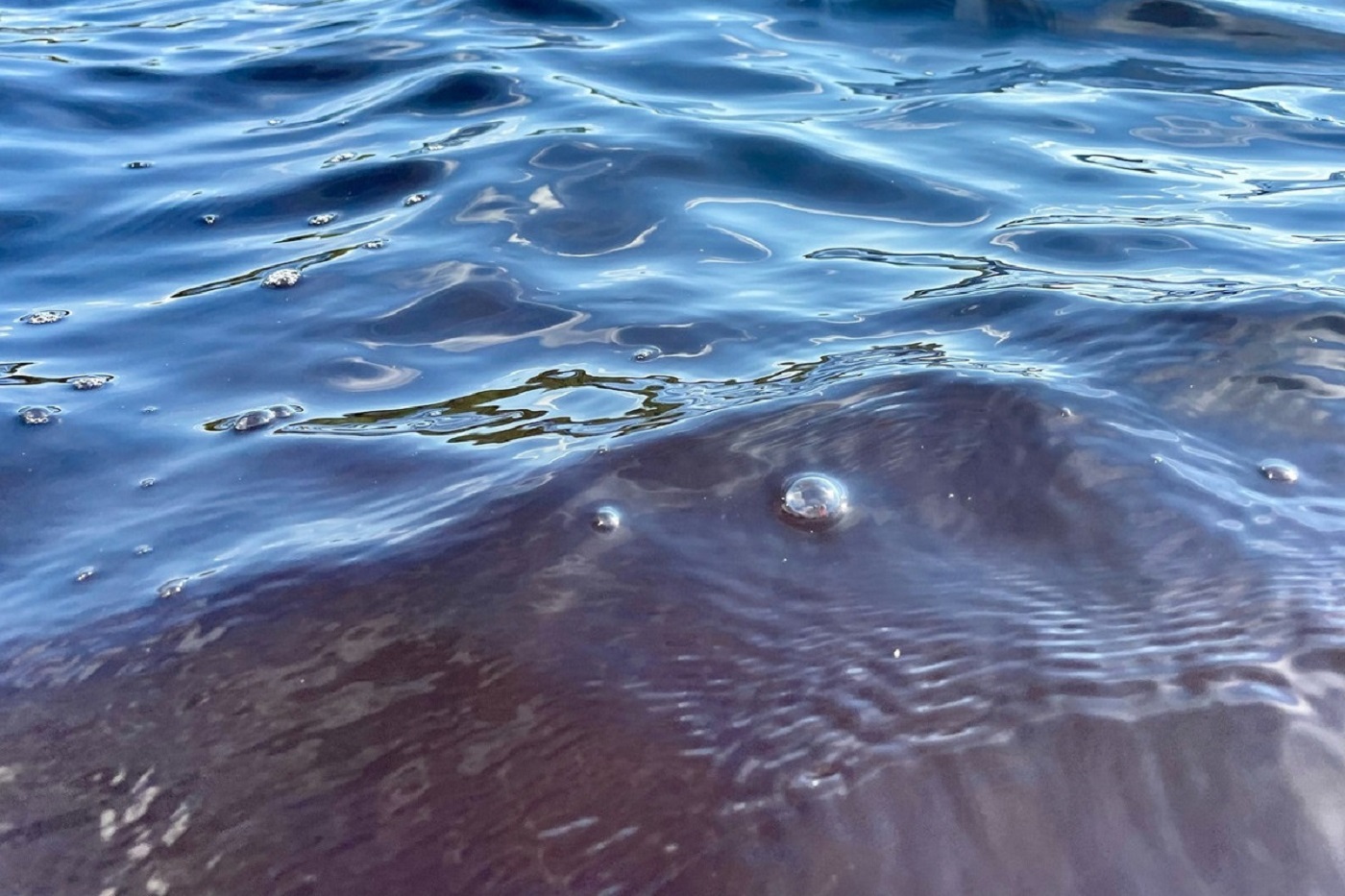 Пожилая женщина погибла в Усть-Кубинском округе