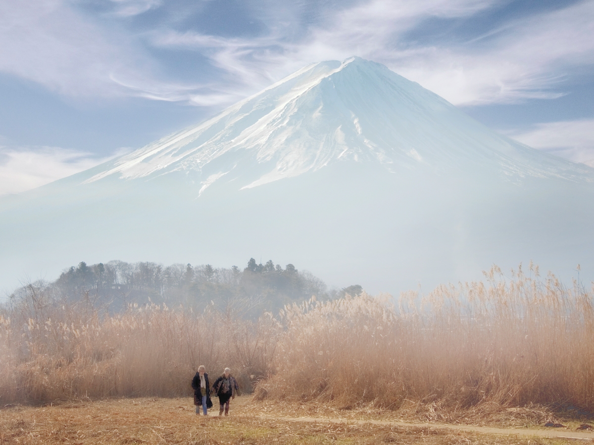 Путешествия в Японию бьют рекорды: россияне едут чаще, чем до пандемии