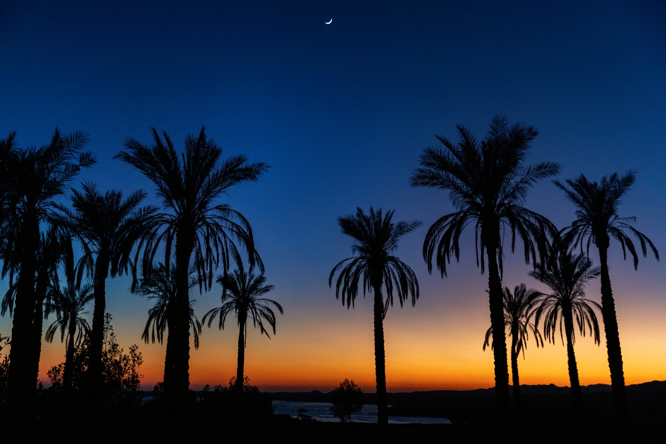 Когда лететь в Египет дешевле всего: названы лучшие даты для зимнего отдыха