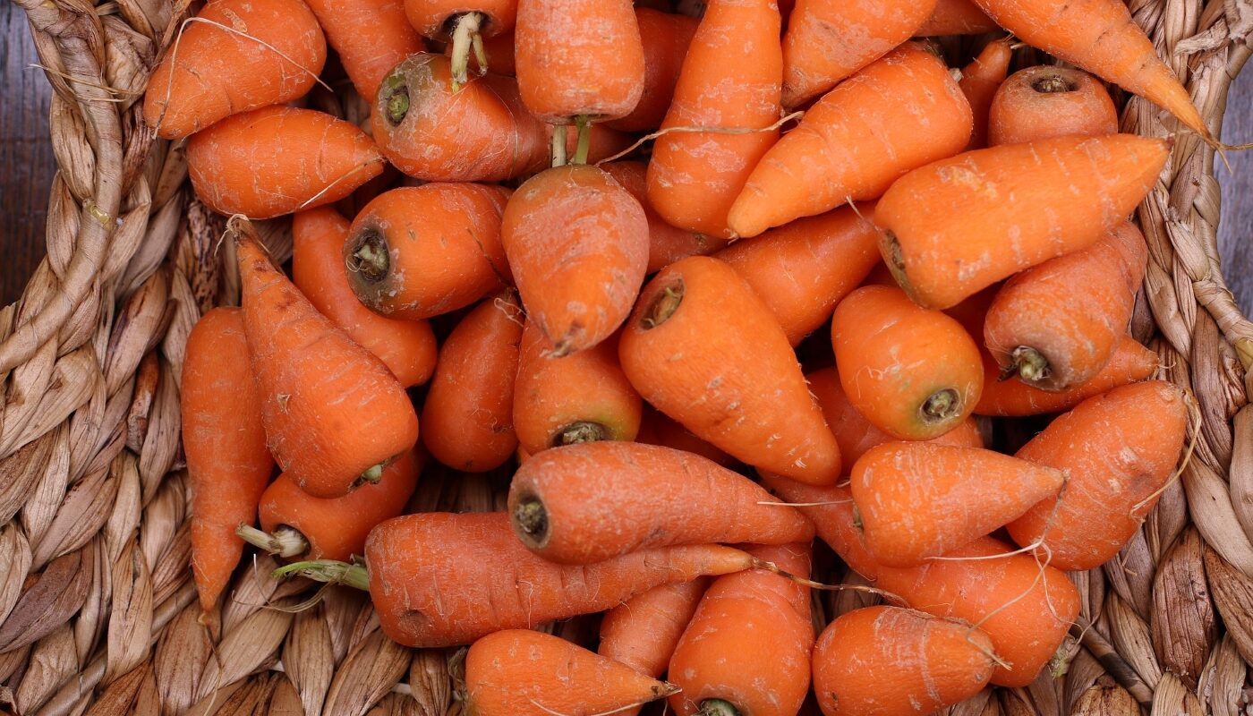 Уродливая морковь: внесение этой подкормки испортит овощ