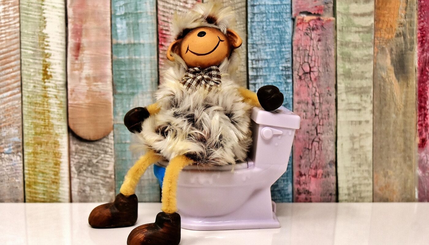 Дачный туалет станет благоухать свежестью летом и зимой: правила ухода за выгребной ямой