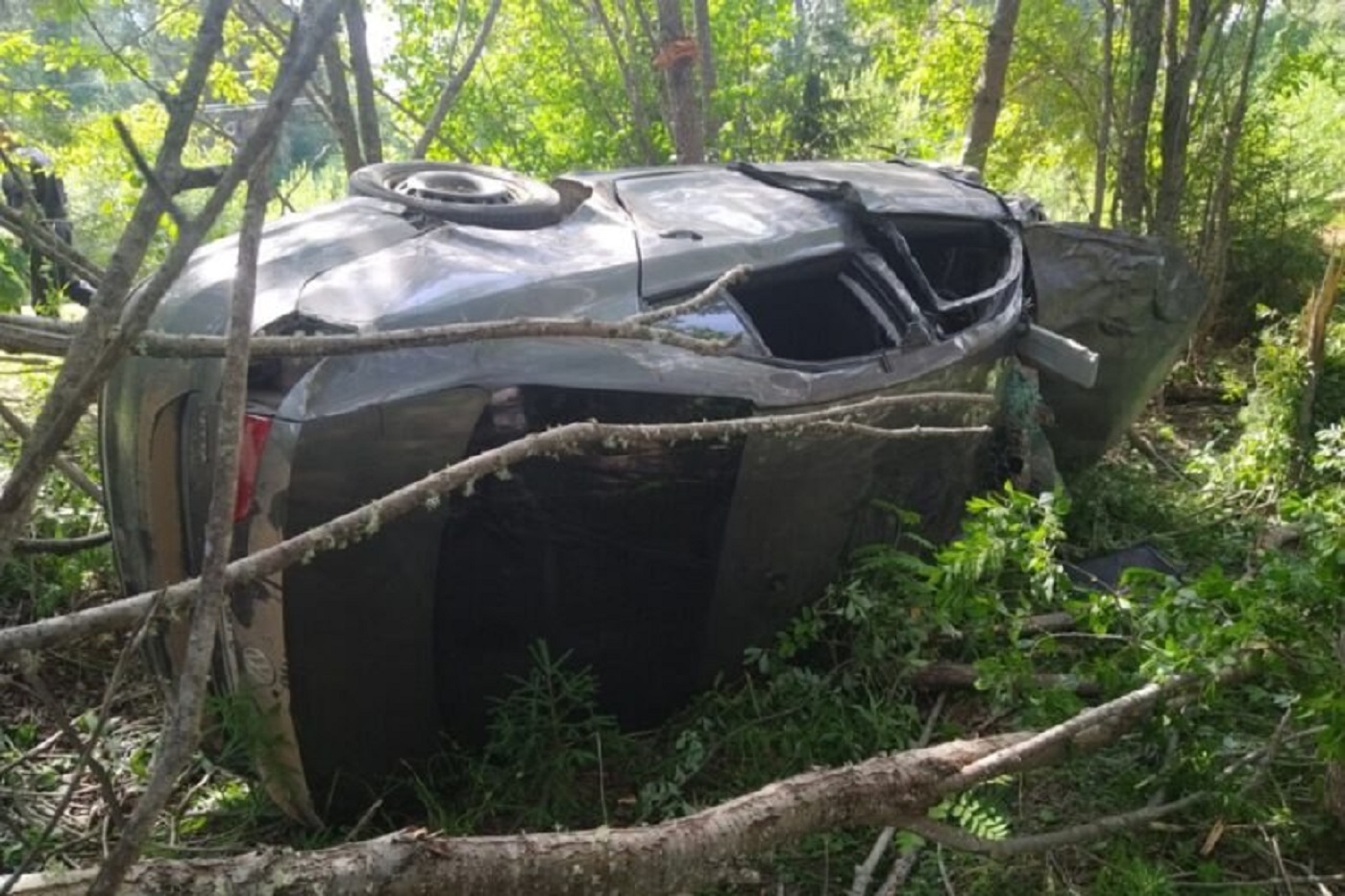 Уроженец Кич-Городецкого округа в свой 70-летний юбилей угробил друга детства