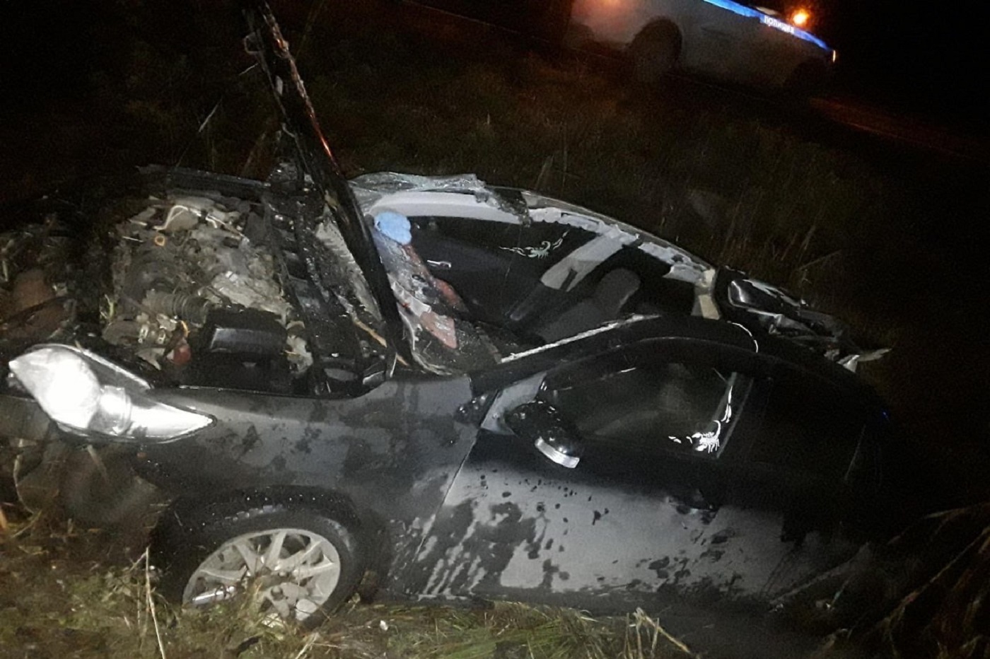 Водитель иномарки погиб в ДТП с лосем под Чагодой