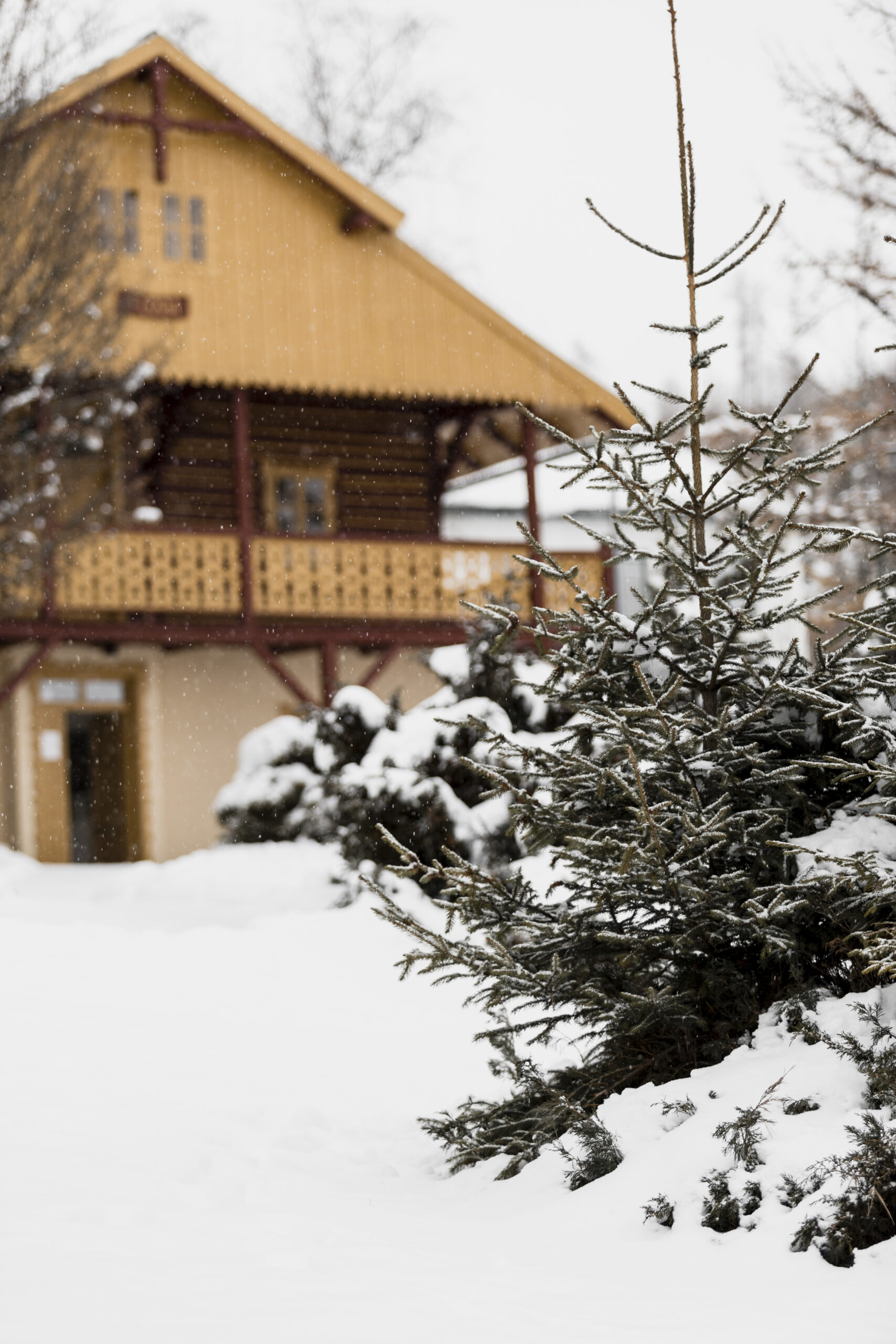 Россиянам объяснили, какую дачу лучше покупать для круглогодичного проживания