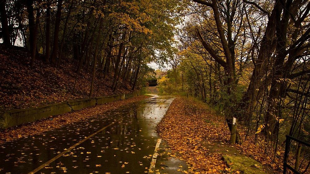 Народные приметы определили прогноз на ближайший месяц