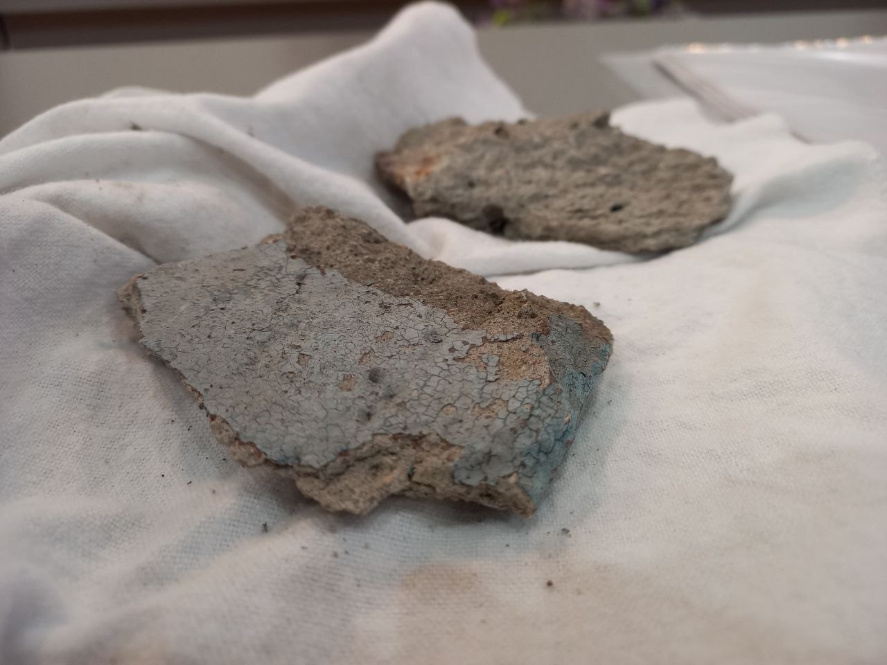 Вологжанка принесла камни в Гордуму