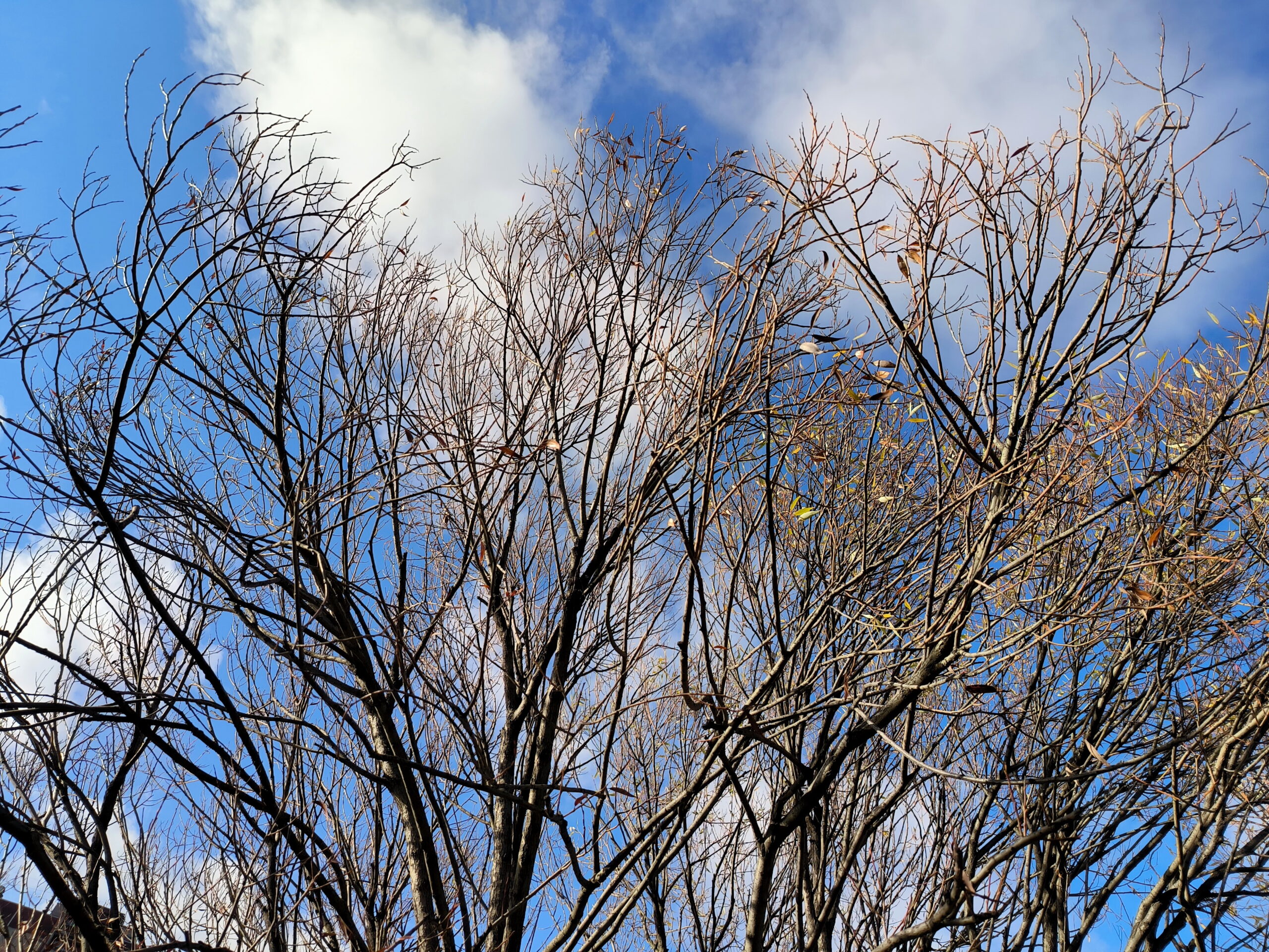 Череповчанин из леса попал в больницу