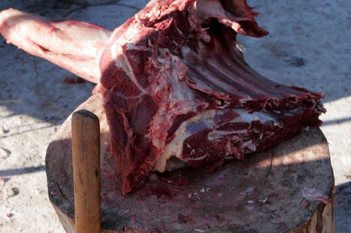 В Вологодском ресторане обнаружены нелегальные продукты