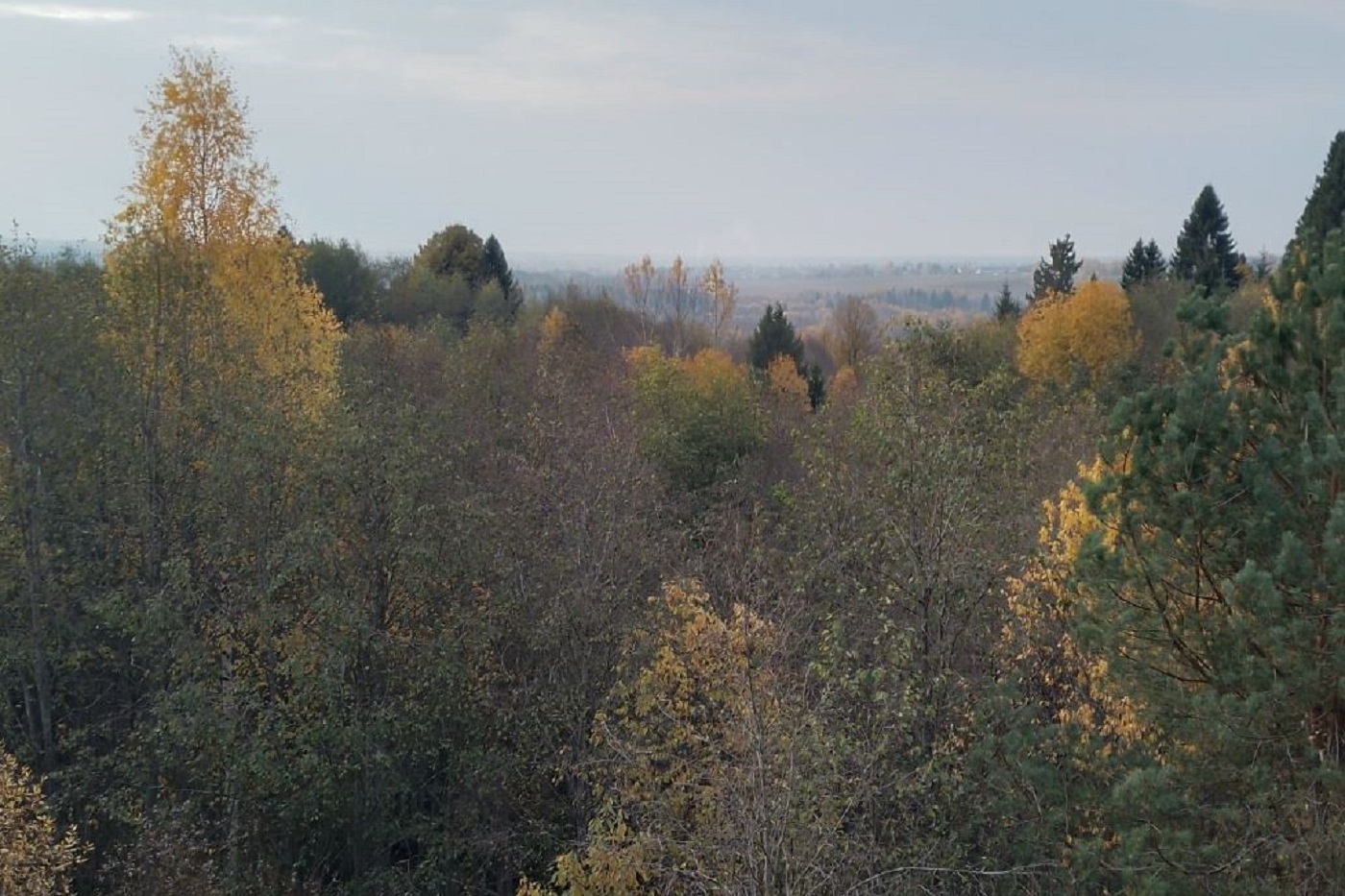 Значительное похолодание обещают вологодские синоптики
