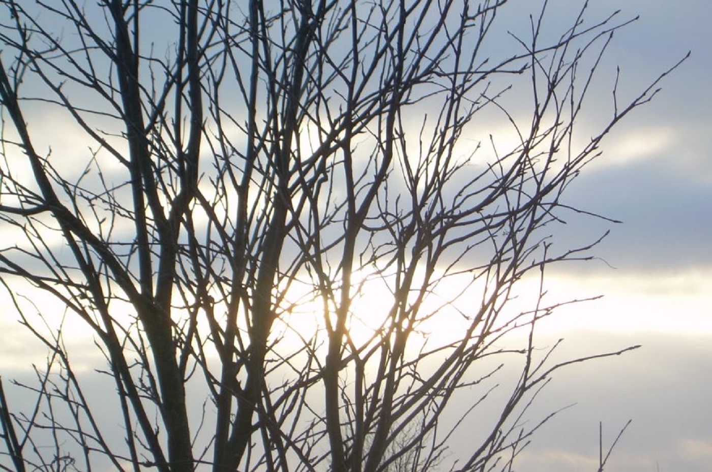 Синоптики рассказали о погоде на выходные дни