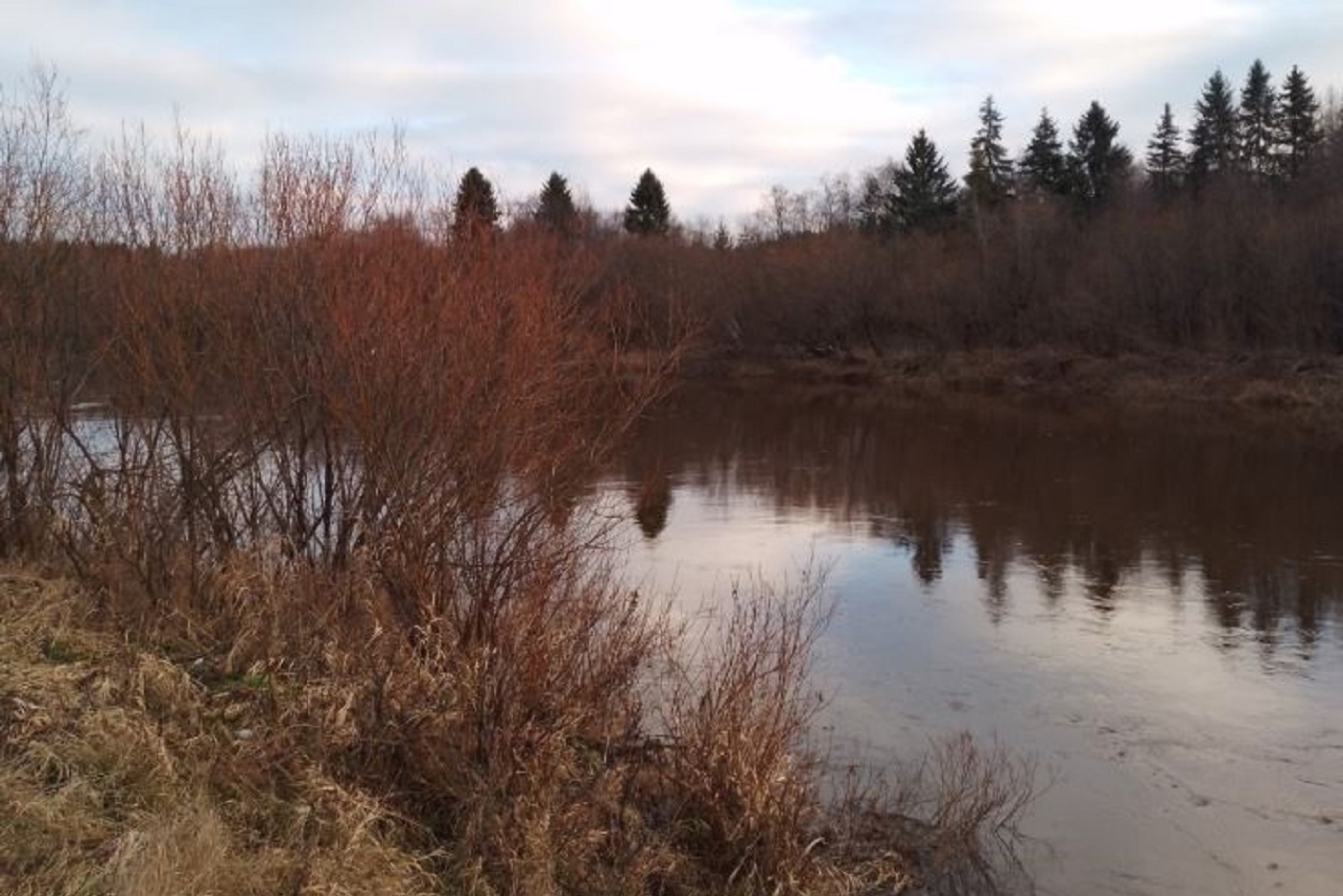 Вологодские синоптики обещают теплую погоду