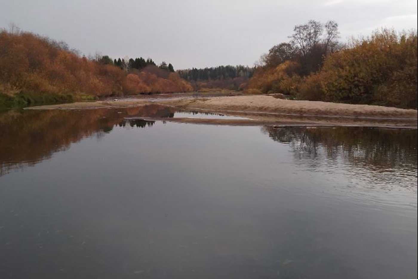 Вологодские синоптики рассказали о погоде на ближайшие дни