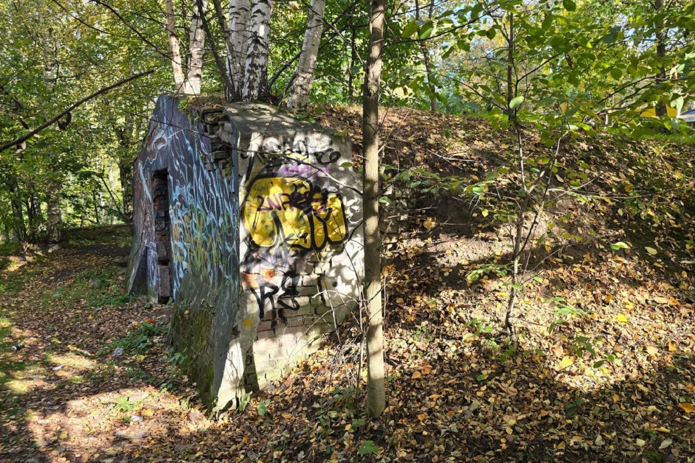 В центре Вологды восстановят исторические винные погреба