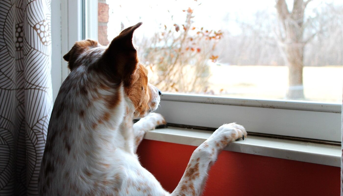 Самый замызганный подоконник засияет белизной: просто протрите этой смесью поверхность