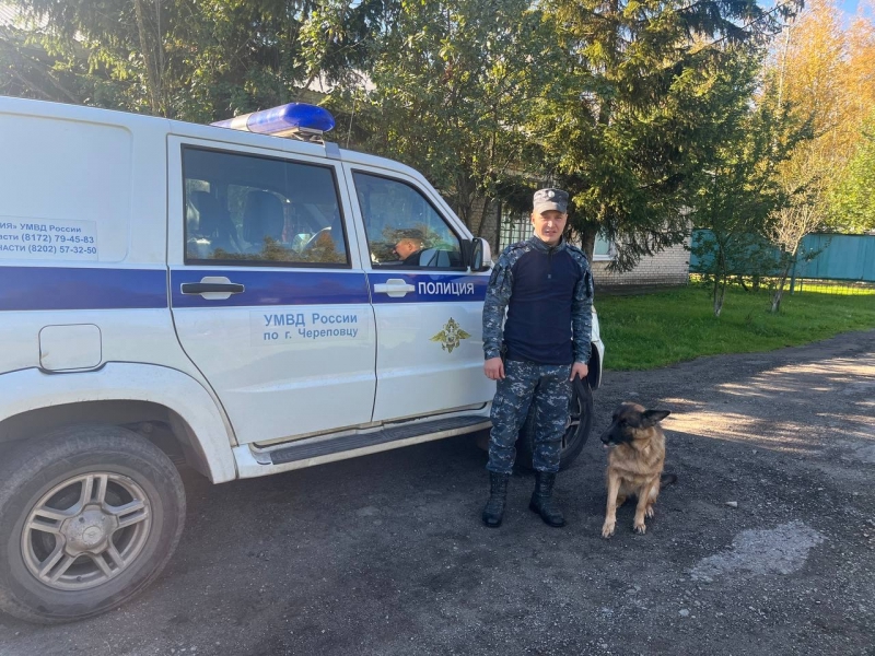 Двое мальчиков и одна собака потерялись на прогулке